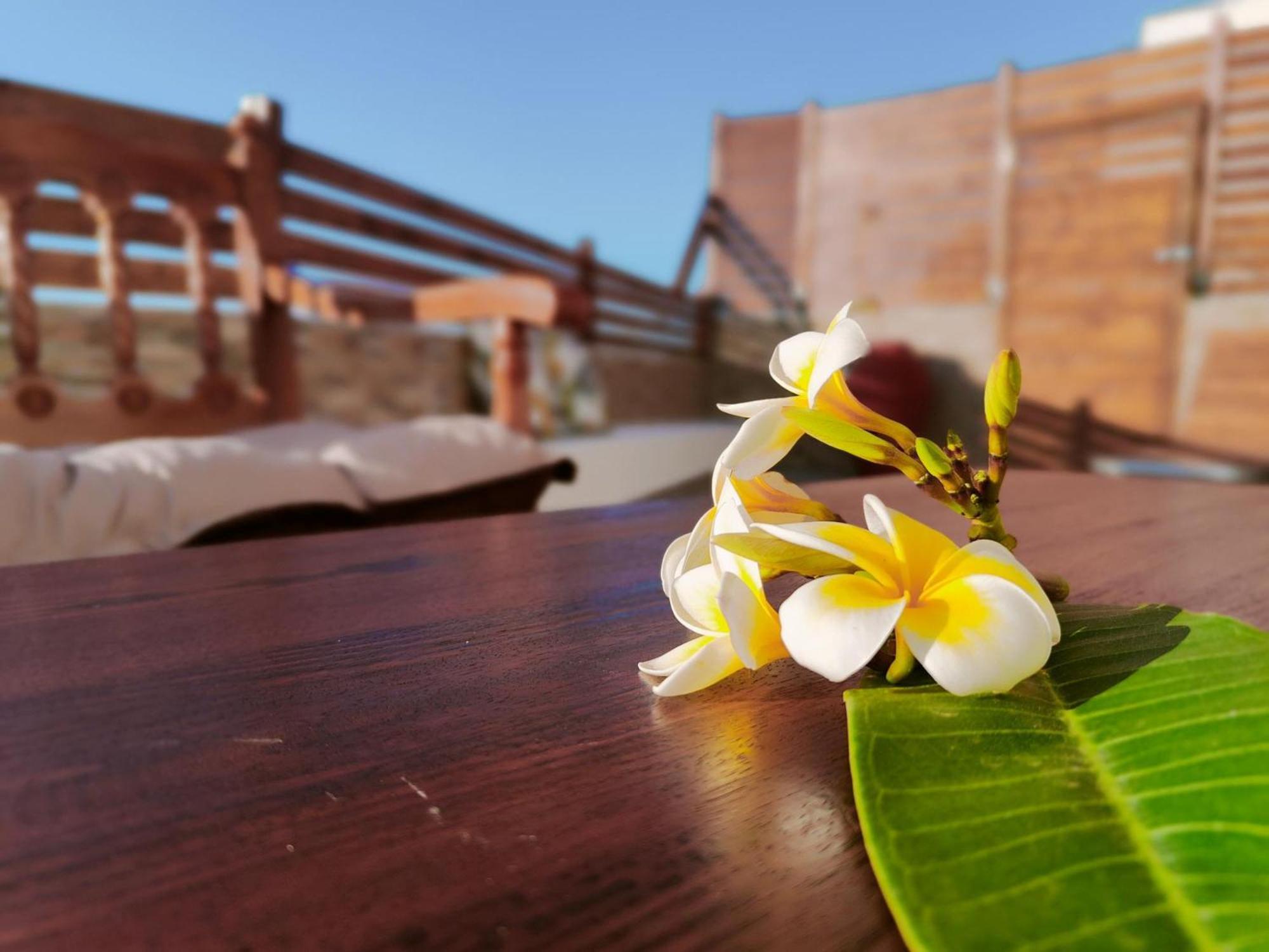 Holiday home Casa Di Rena Private House With Sunset View *
